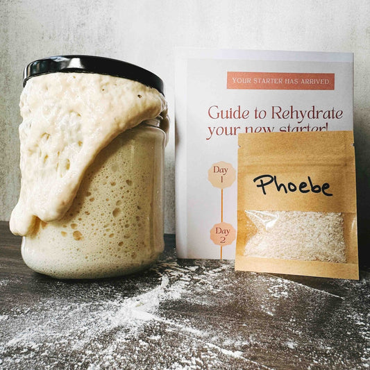 "Phoebe" - 170yr old San Francisco Dehydrated Sourdough Starter