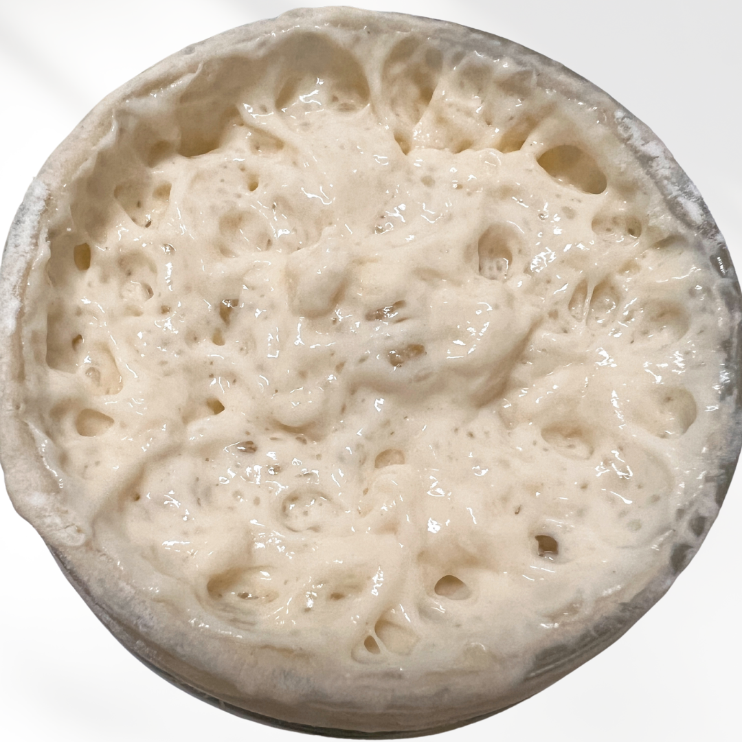 "Phoebe" - 170yr old San Francisco Dehydrated Sourdough Starter