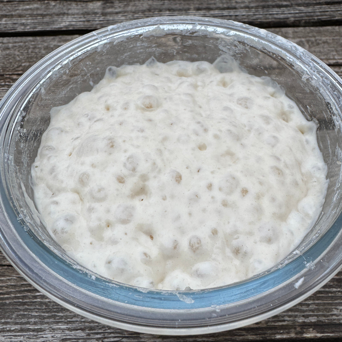 "Phoebe" - 170yr old San Francisco Dehydrated Sourdough Starter