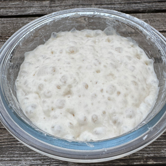 "Phoebe" - 170yr old San Francisco Dehydrated Sourdough Starter
